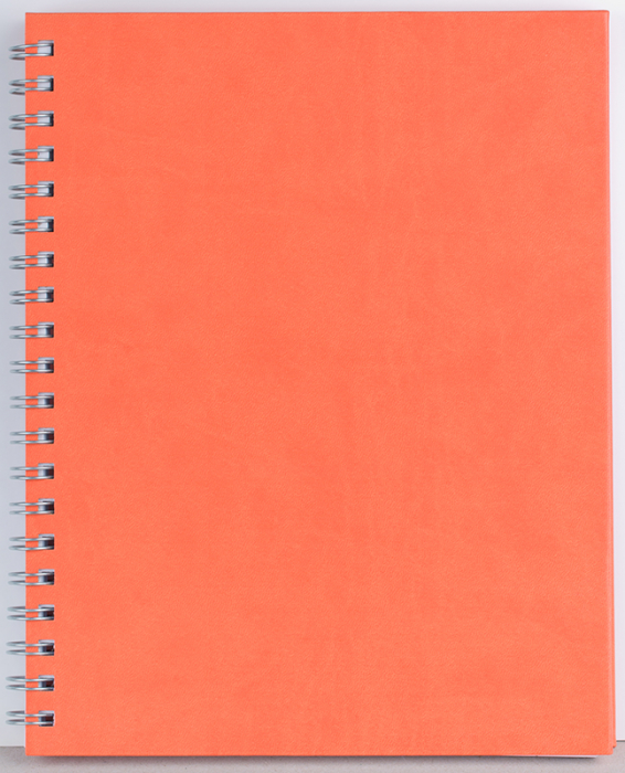 Agenda nedatata ,,Premier" [10]