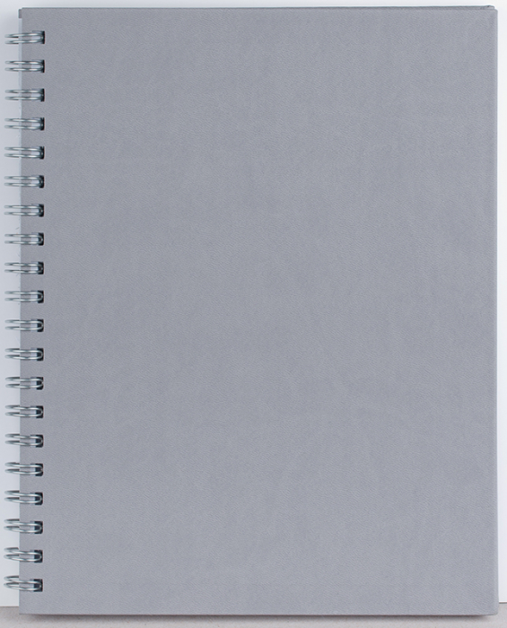 Agenda nedatata ,,Premier" [9]