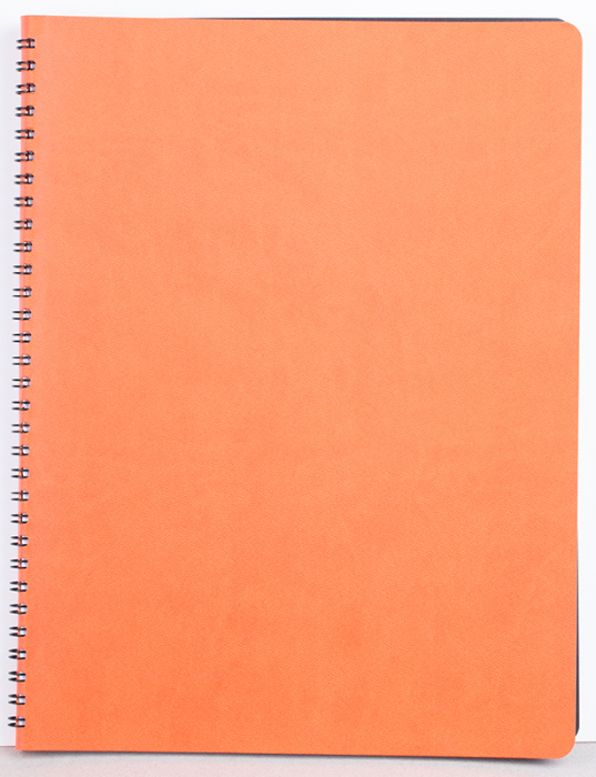 Agenda nedatata ,,Siena" [8]