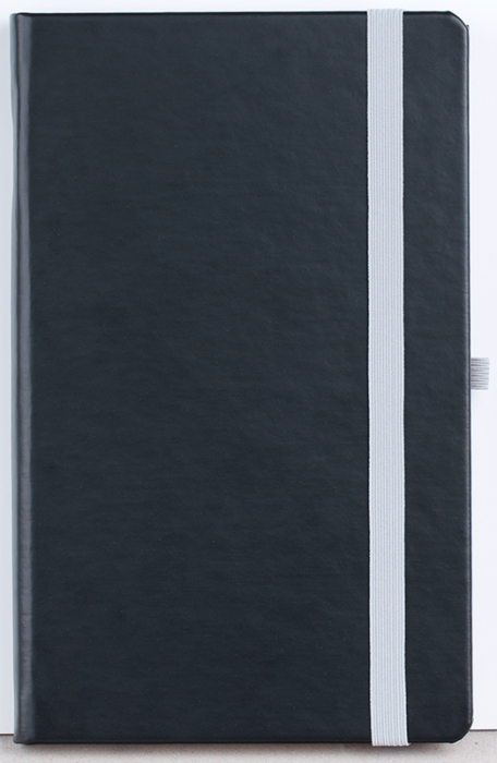 Agenda nedatata Notebook PRO [8]