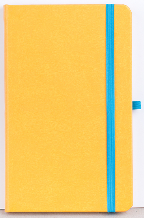 Agenda nedatata Notebook PRO [7]