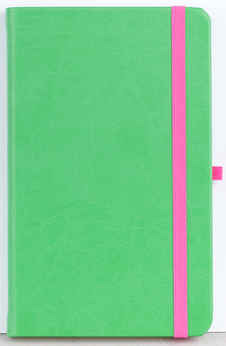Agenda nedatata Notebook PRO [10]