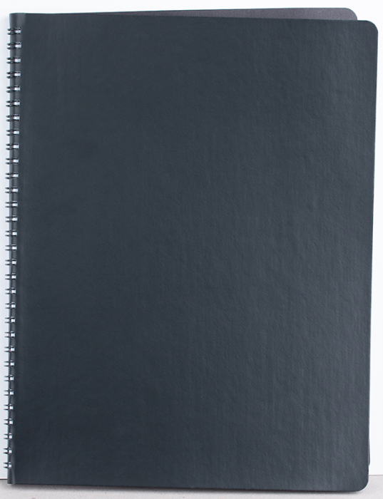 Agenda nedatata ,,Siena" [9]