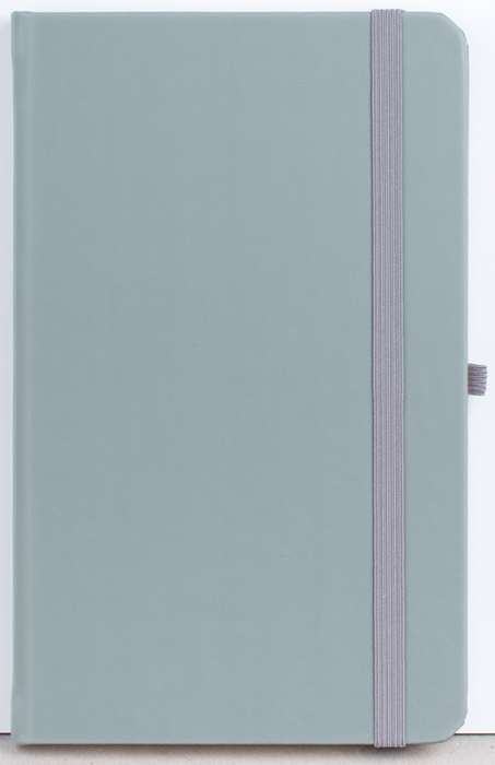 Agenda nedatata Notebook PRO [12]