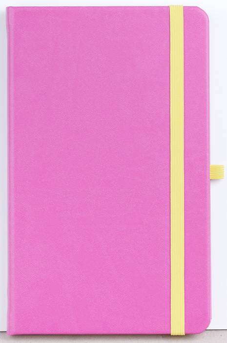 Agenda nedatata Notebook PRO [6]