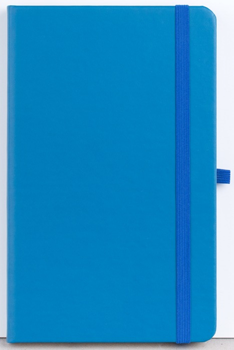 Agenda nedatata Notebook PRO [11]