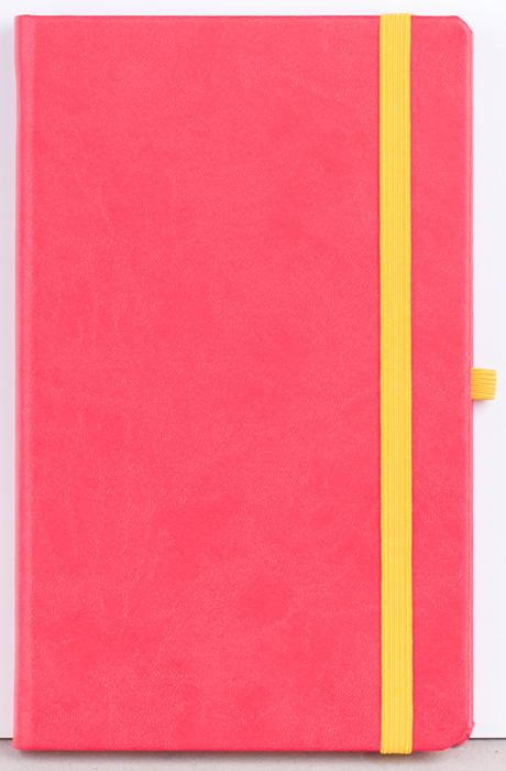 Agenda nedatata Notebook PRO [9]