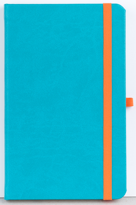 Agenda nedatata Notebook PRO [5]