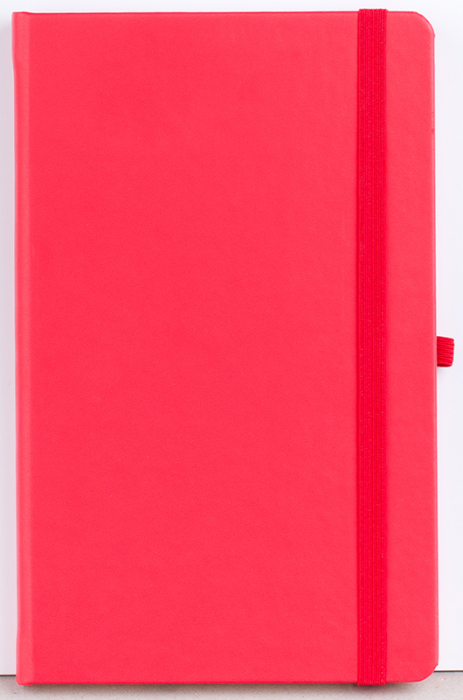 Agenda nedatata Notebook PRO [14]