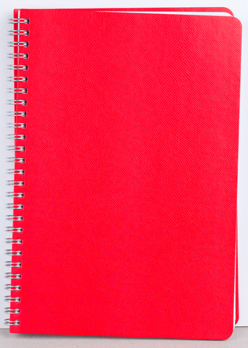 Agenda nedatata ,,Riga" [7]
