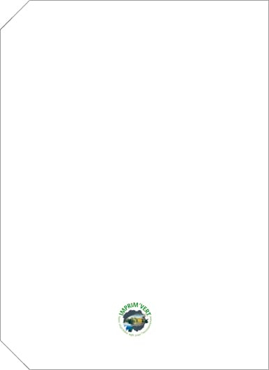 Agenda saptamanala ,,Linea" [4]