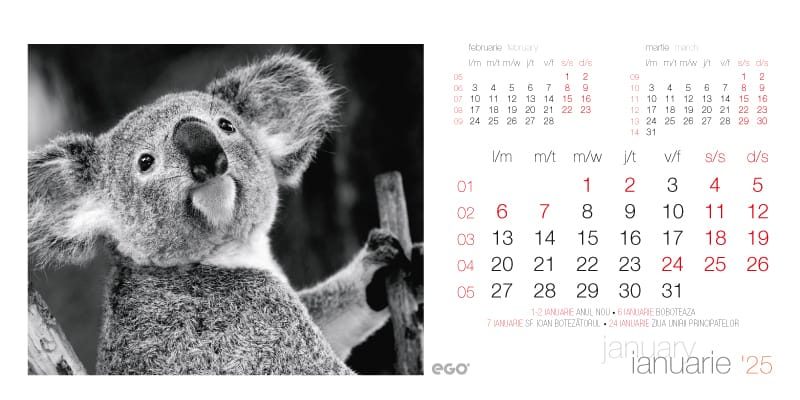 Calendar de birou ,,Animale" [2]