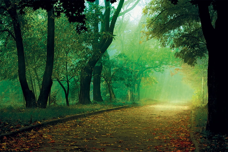Calendar de birou ,,Alei" [7]