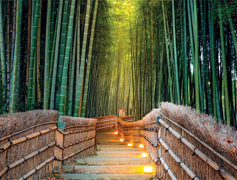 Calendar de birou ,,Gradini" [11]