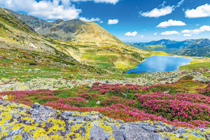Calendar de birou ,,Romania" [6]