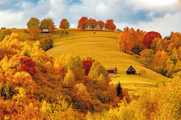 Calendar de birou ,,Romania" [14]