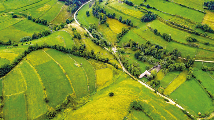 Calendar de birou ,,Romania" [7]