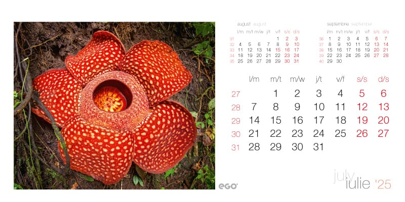 Calendar de birou ,,Terra" [2]