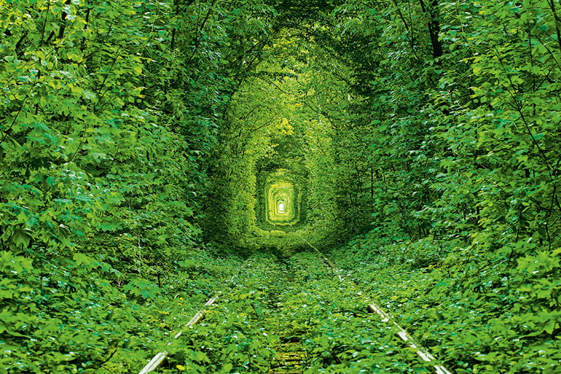 Calendar de perete ,,Green" [10]