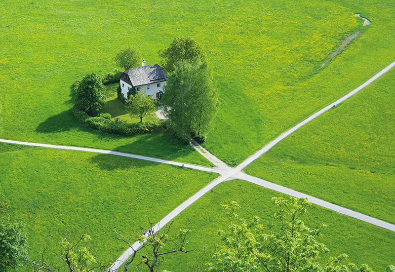 Calendar de perete ,,Green" [9]