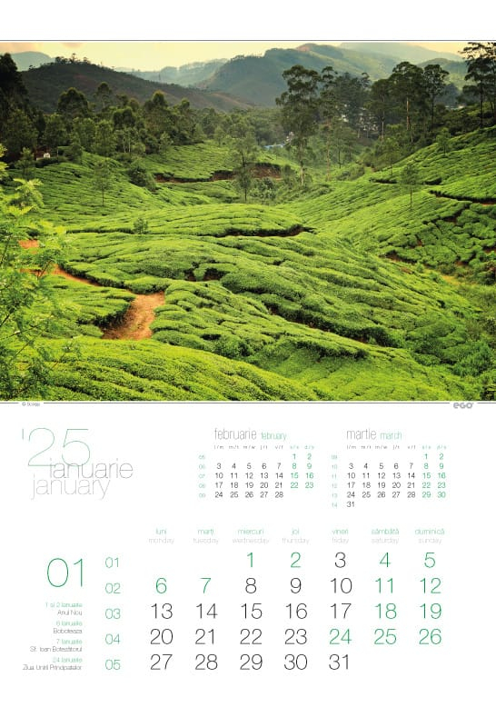 Calendar de perete ,,Green" [2]