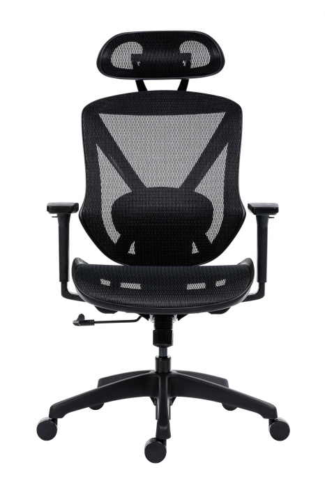 Scaun executiv Aero Pro [2]
