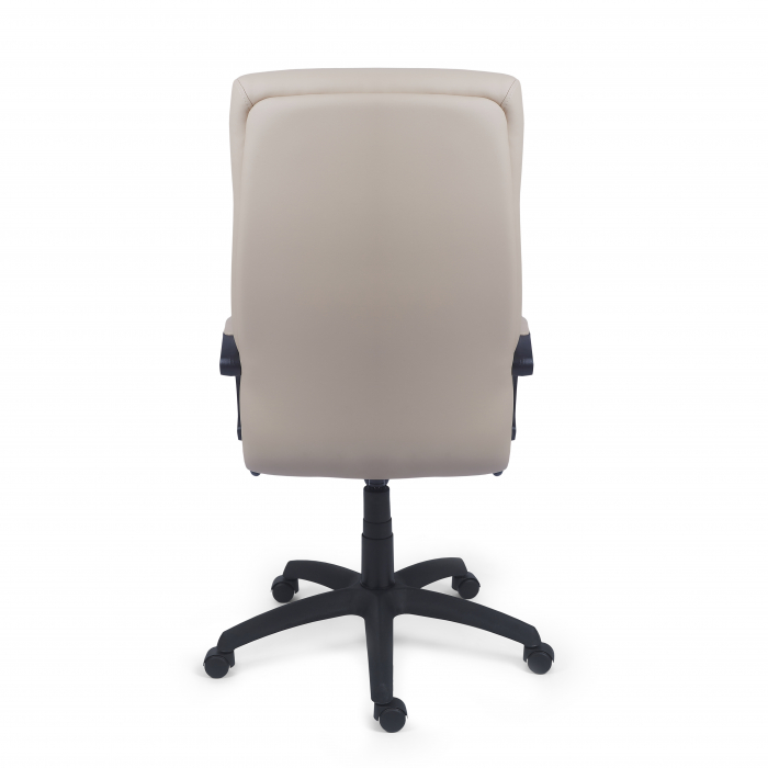 Fotoliu executiv Fusion - Eco piele [3]
