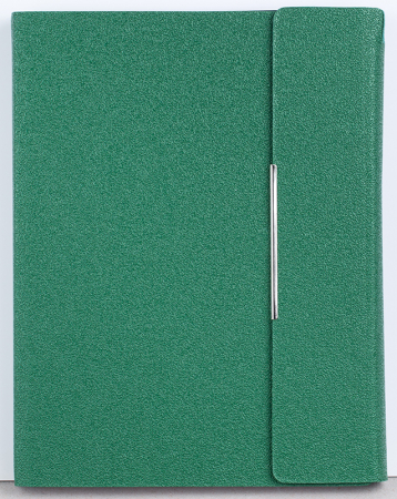 Agenda nedatata ,,Tehno" [6]