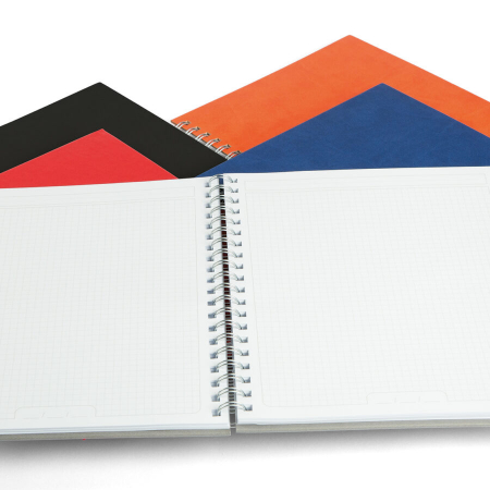 AGENDE DATATE & NEDATATE - Agenda nedatata ,,Premier"