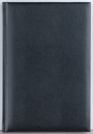 Agenda nedatata ,,Domino" [5]