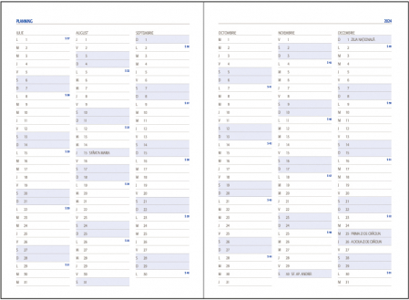 Agenda nedatata ,,Domino" [3]
