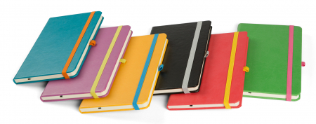 AGENDE DATATE & NEDATATE - Agenda nedatata Notebook PRO