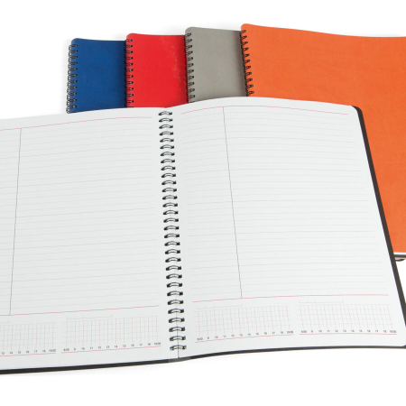AGENDE DATATE & NEDATATE - Agenda nedatata ,,Siena"