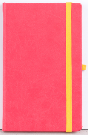 Agenda nedatata Notebook PRO [8]