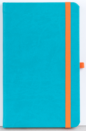Agenda nedatata Notebook PRO [4]