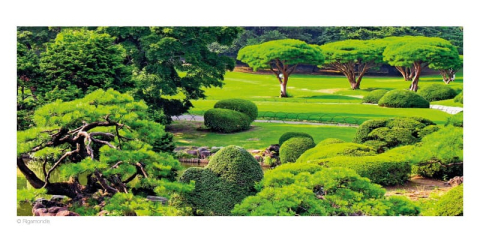 Calendar de birou ,,Gradini" [2]