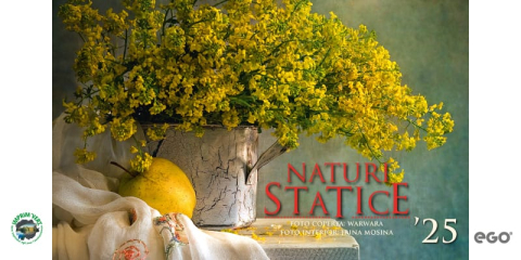 PRODUCTIE PUBLICITARA/AGENDE & CALENDARE/PERSONALIZARI - Calendar de birou ,,Naturi statice"