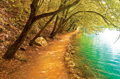 Calendar de perete ,,Alei" [4]