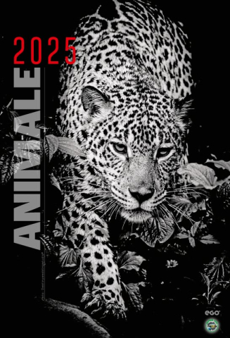 CALENDARE DE BIROU & PERETE - Calendar de perete ,,Animale"