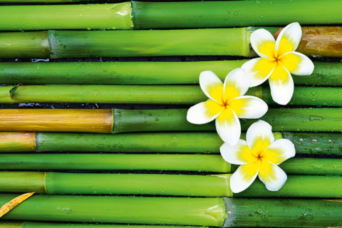 Calendar de perete ,,Green" [2]