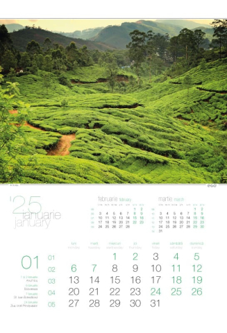 Calendar de perete ,,Green" [1]
