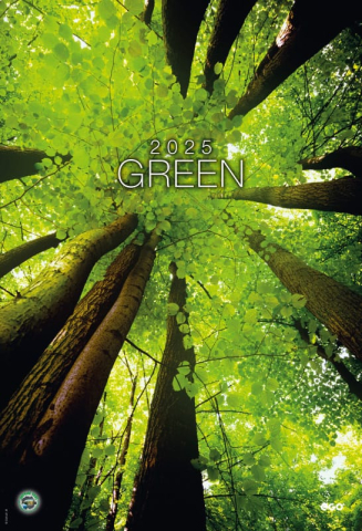 CALENDARE DE BIROU & PERETE - Calendar de perete ,,Green"