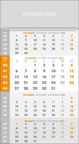 CALENDARE DE BIROU & PERETE - Calendar de perete ,,Triptic special"