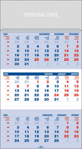 CALENDARE DE BIROU & PERETE - Calendar de perete ,,Triptic clasic"