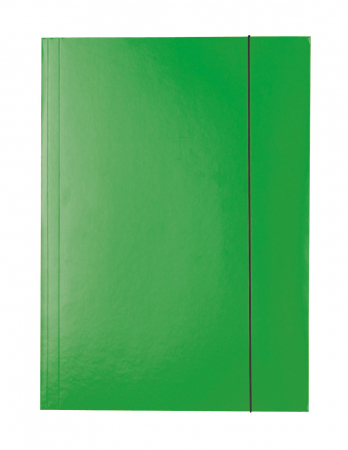 MAPE DE BIROU - Mapa A4 de carton cu elastic verde Economy Esselte
