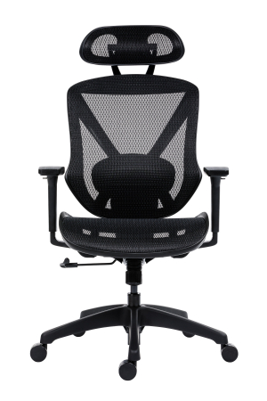 Scaun executiv Aero Pro [1]