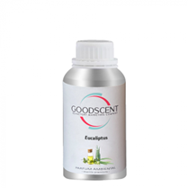 ODORIZANTE PENTRU CAMERA - Ulei esential 100gr. pentru Aroma car difusser ,,Eucaliptus"