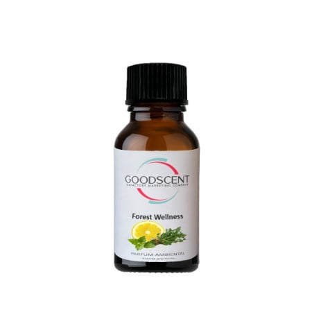 ODORIZANTE PENTRU CAMERA - Ulei esential 10gr. pentru Aroma car difusser ,,Forest Wellness"