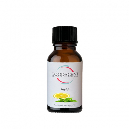 ODORIZANTE PENTRU CAMERA - Ulei esential 10gr. pentru Aroma car difusser ,,Joifull"