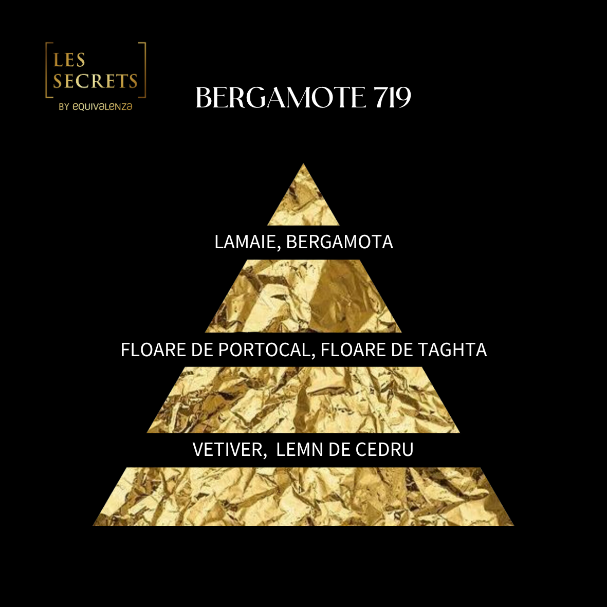 Apa de Parfum Bergamote 719 Les Secrets, Equivalenza, Unisex 100ml [4]